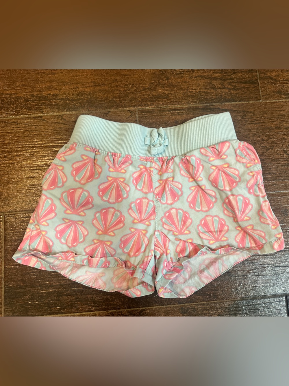 The Children's Place Light Blue Shorts with Pink Shells